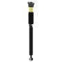 OESpectrum Rear Suspension Shock Absorber Assembly 15630 - angled view