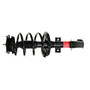Quick-Strut Front Suspension Strut and Coil Spring Assembly 172639 - front view