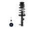 Suspension Strut and Coil Spring Assembly 1331776L - front view