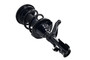 Suspension Strut and Coil Spring Assembly 1331631L - top view