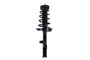 Suspension Strut and Coil Spring Assembly 1331785R - front view