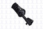 Suspension Strut and Coil Spring Assembly 1331773 - angled view