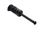 Suspension Strut and Coil Spring Assembly 1332302 - top view
