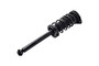 Suspension Strut and Coil Spring Assembly 1332302 - right view