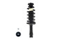 Suspension Strut and Coil Spring Assembly 1332354 - front view