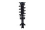 Suspension Strut and Coil Spring Assembly 1333737 - front view