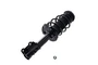 Suspension Strut and Coil Spring Assembly 1333742R - right view