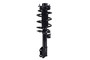 Suspension Strut and Coil Spring Assembly 1333866L - bottom view