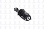 Suspension Strut and Coil Spring Assembly 1333800R - left view