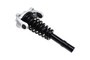 Suspension Strut and Coil Spring Assembly 1335532L - top view