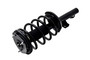 Suspension Strut and Coil Spring Assembly 1335541 - left view