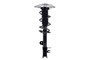 Suspension Strut and Coil Spring Assembly 1334079R - front view