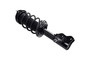 Suspension Strut and Coil Spring Assembly 1334086L - top view