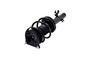 Suspension Strut and Coil Spring Assembly 1335615L - bottom view