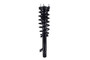 Suspension Strut and Coil Spring Assembly 1335801R - bottom view