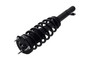 Suspension Strut and Coil Spring Assembly 1335801R - left view