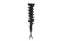 Suspension Strut and Coil Spring Assembly 1335584L - bottom view
