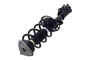 Suspension Strut and Coil Spring Assembly 1334565R - left view