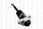 Suspension Strut and Coil Spring Assembly 1335661 - left view