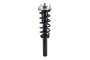 Suspension Strut and Coil Spring Assembly 1335906 - front view