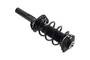 Suspension Strut and Coil Spring Assembly 1335576 - left view