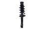 Suspension Strut and Coil Spring Assembly 1336306 - front view