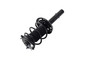 Suspension Strut and Coil Spring Assembly 1335981R - bottom view