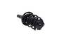 Suspension Strut and Coil Spring Assembly 1335981R - left view