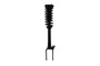 Suspension Strut and Coil Spring Assembly 1337065 - front view