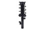 Suspension Strut and Coil Spring Assembly 1336311R - front view