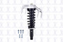 Suspension Strut and Coil Spring Assembly 1335946R - front view