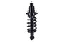 Suspension Strut and Coil Spring Assembly 1345403L - bottom view