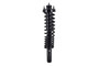 Suspension Strut and Coil Spring Assembly 1336337R - front view