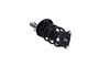 Suspension Strut and Coil Spring Assembly 1337006L - left view
