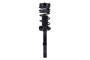Suspension Strut and Coil Spring Assembly 1336313 - front view
