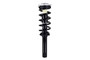 Suspension Strut and Coil Spring Assembly 1337161 - bottom view
