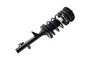 Suspension Strut and Coil Spring Assembly 1336303 - right view