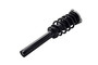 Suspension Strut and Coil Spring Assembly 1337097 - right view