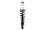 Suspension Strut and Coil Spring Assembly 1345596R - front view