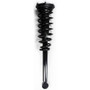 Suspension Strut and Coil Spring Assembly 1345399 - front view