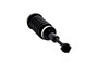Suspension Strut and Coil Spring Assembly 1345950 - top view