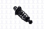 Suspension Strut and Coil Spring Assembly 1345471L - angled view