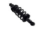 Suspension Strut and Coil Spring Assembly 1345416L - top view