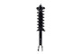 Suspension Strut and Coil Spring Assembly 1345969R - front view