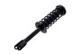 Suspension Strut and Coil Spring Assembly 1345969R - right view