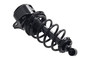Suspension Strut and Coil Spring Assembly 1345782R - top view