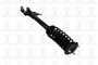 Suspension Strut and Coil Spring Assembly 1345906L