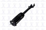 Suspension Strut and Coil Spring Assembly 1345906L