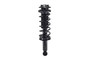 Suspension Strut and Coil Spring Assembly 1345541 - front view