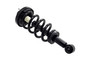 Suspension Strut and Coil Spring Assembly 1355062 - top view